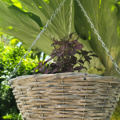 35cm Garden Hanging Basket - Oldboy&