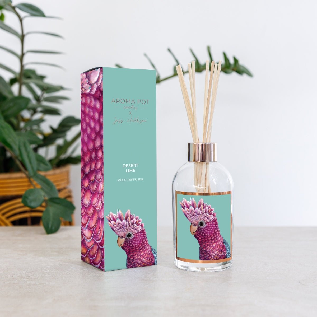 50+Hrs Soy Candle &amp; 200ml Reed Diffuser - Desert Lime - Oldboy&