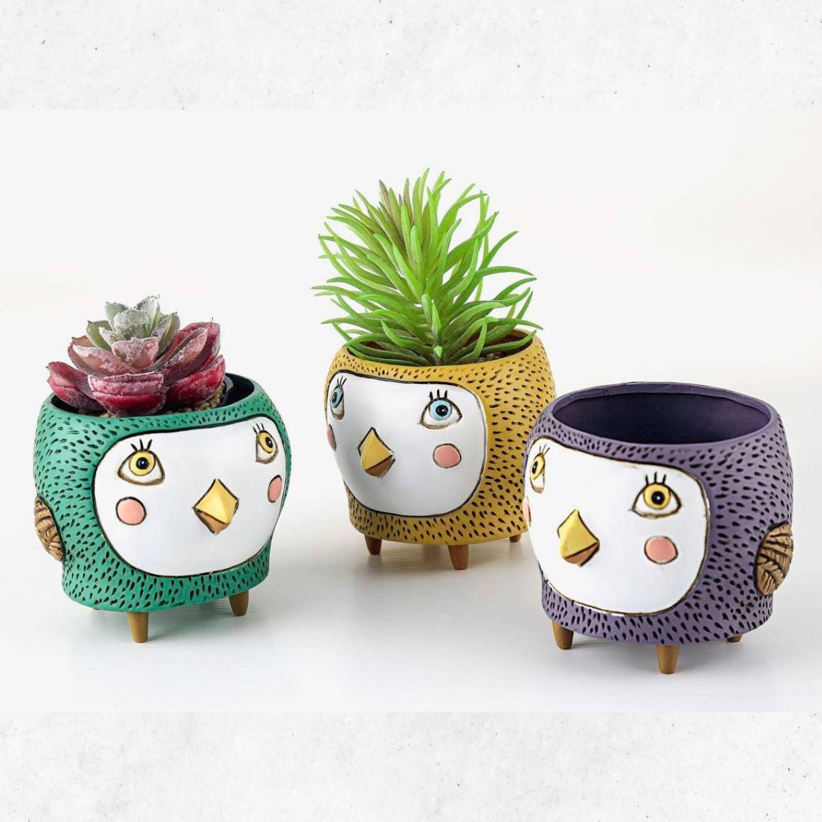 Baby Birdie Mix Planters | Hand - Painted Polyresin Planters - Oldboy&