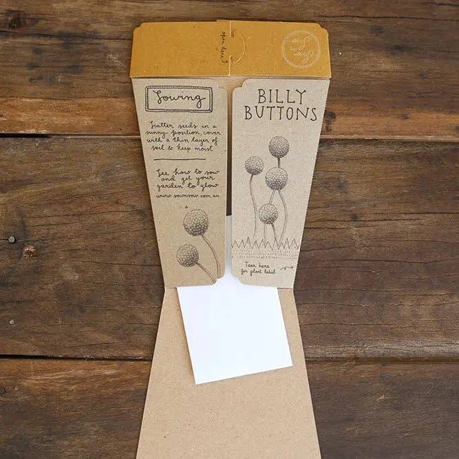 Billy Buttons Gift of Seeds - Oldboy&