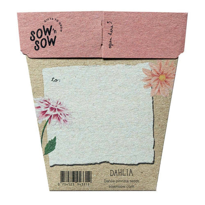 Dahlia Gift of Seeds - Oldboy&