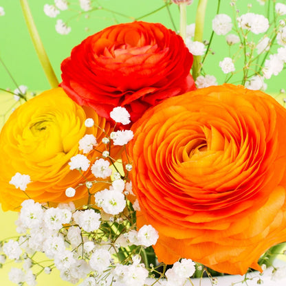 Florentine Ranunculus &