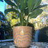 Indigenous Art Pot - 120mm wide x 120mm height - Oldboy&