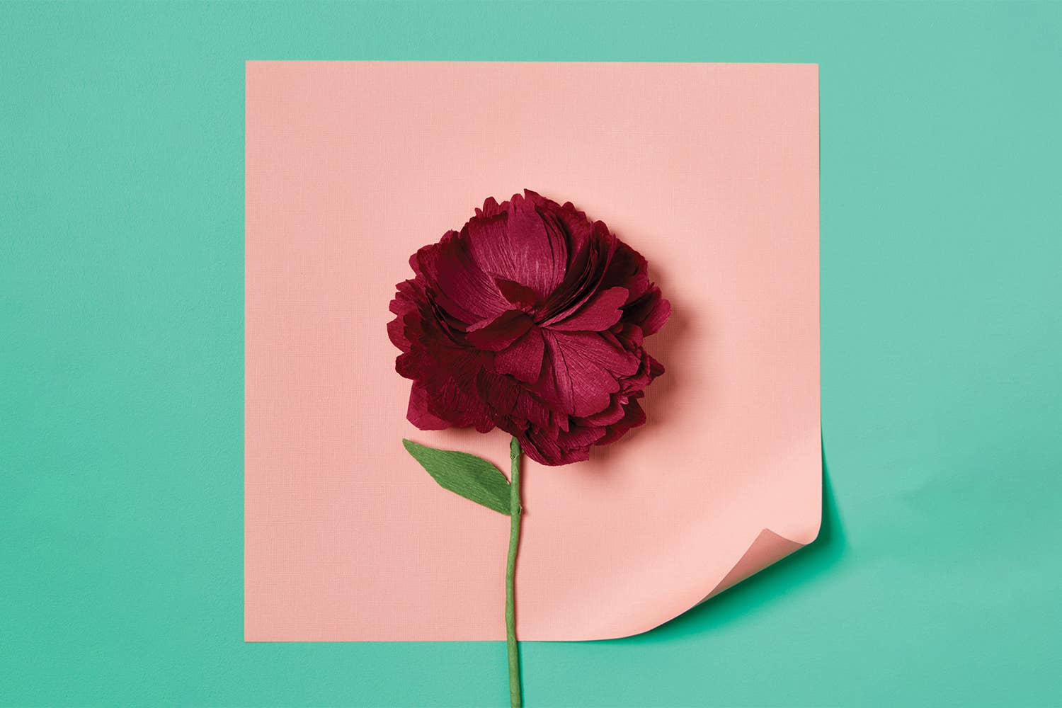 Paper Flower Making Kit | Create Beautiful, Long - Lasting Paper Blooms - Oldboy&