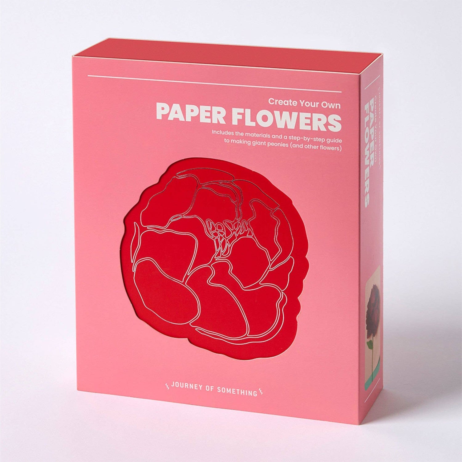 Paper Flower Making Kit | Create Beautiful, Long - Lasting Paper Blooms - Oldboy&