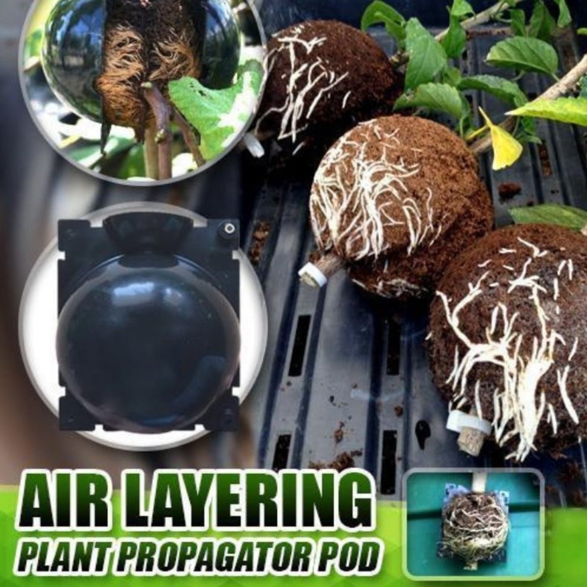 Plant Multiplier Pods - Oldboy&