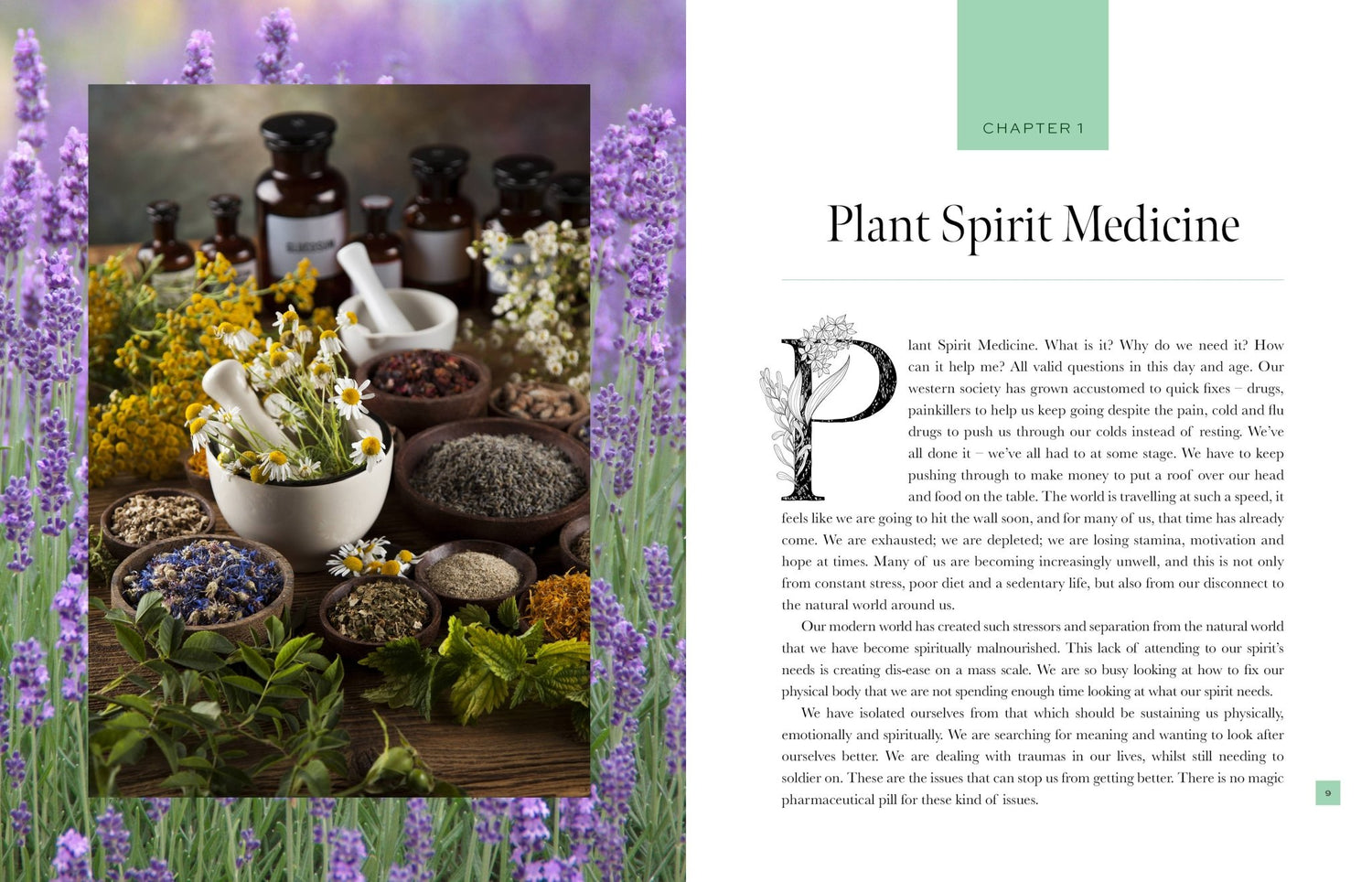 Plant Spirit Medicine (Hardcover) - Oldboy&