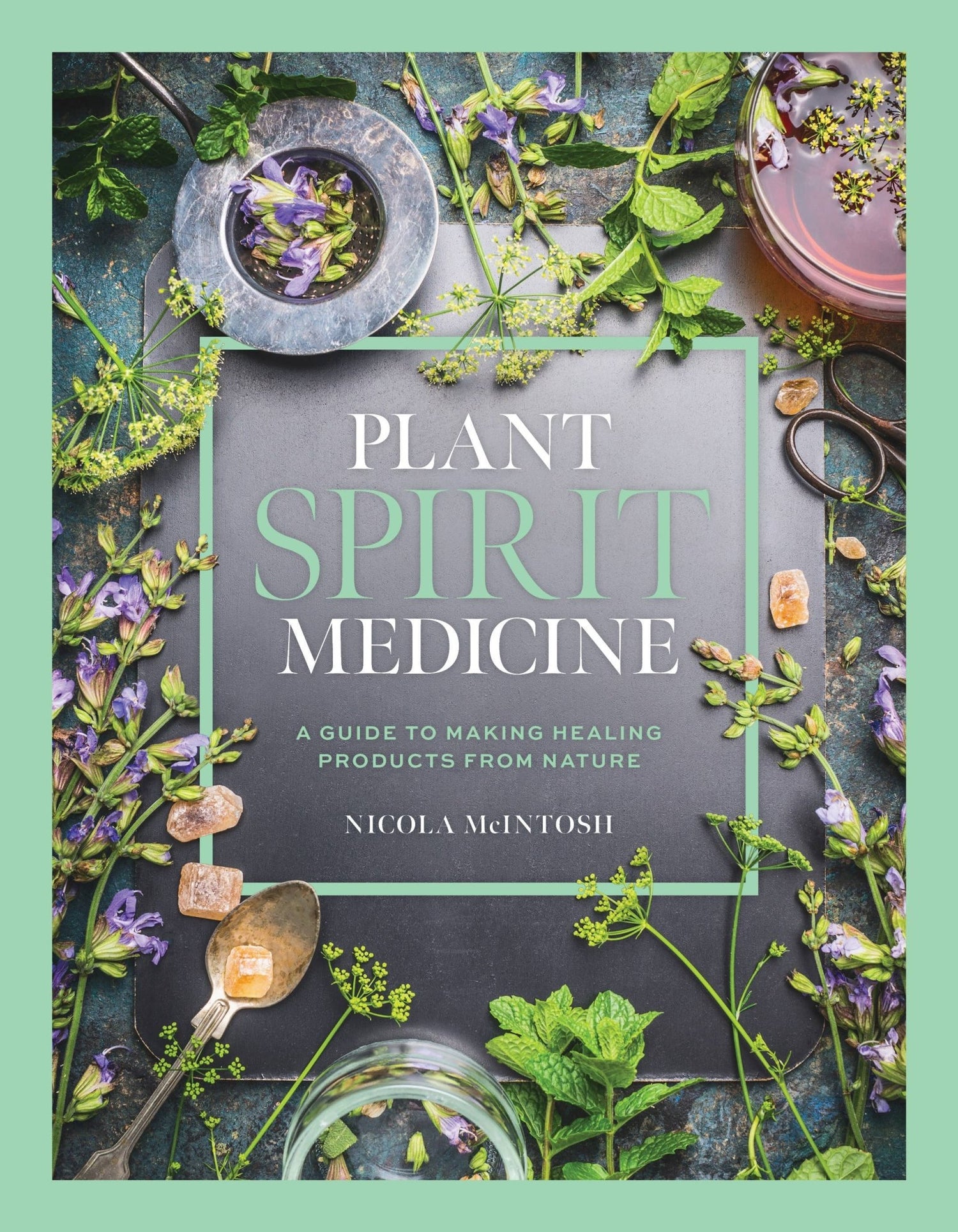 Plant Spirit Medicine (Hardcover) - Oldboy&