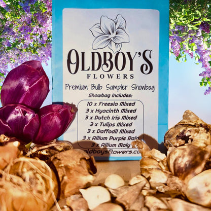 Premium Bulb Sampler Showbag - Oldboy&