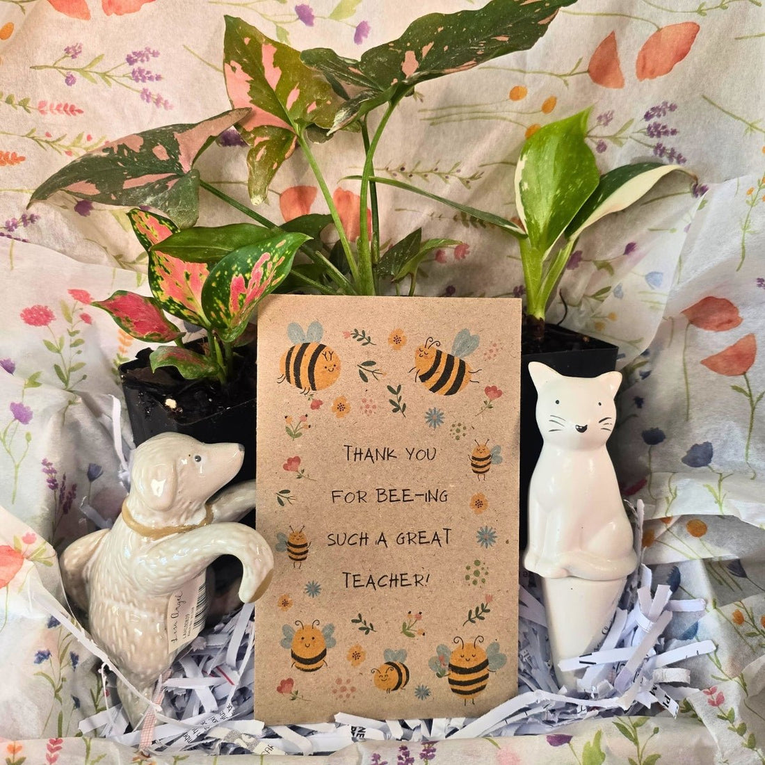 Thank You for Bee - ing Such a Great Teacher - Gift Box 🎁🐝🌻 - Oldboy&