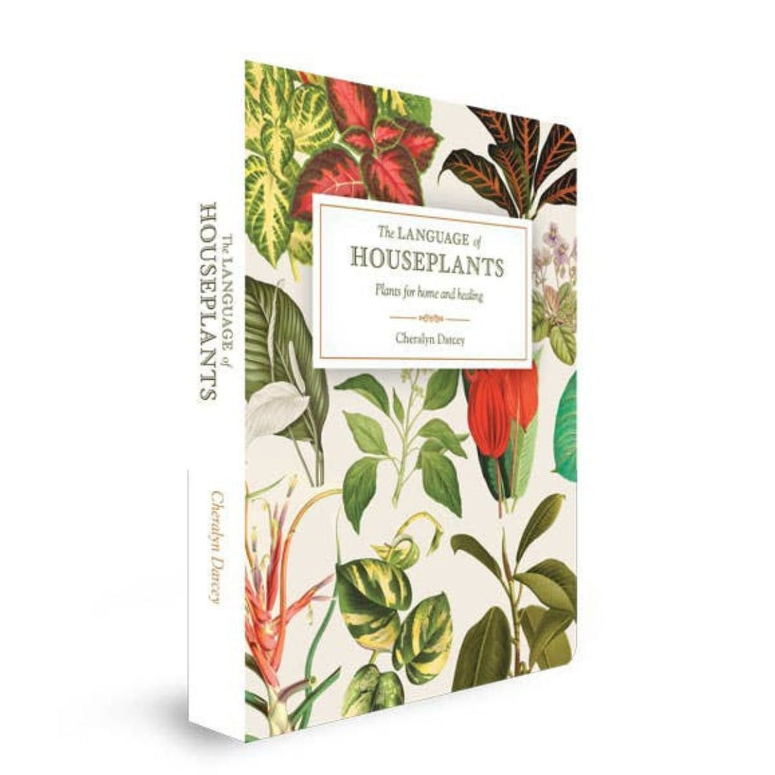 The Language of Houseplants - Oldboy&