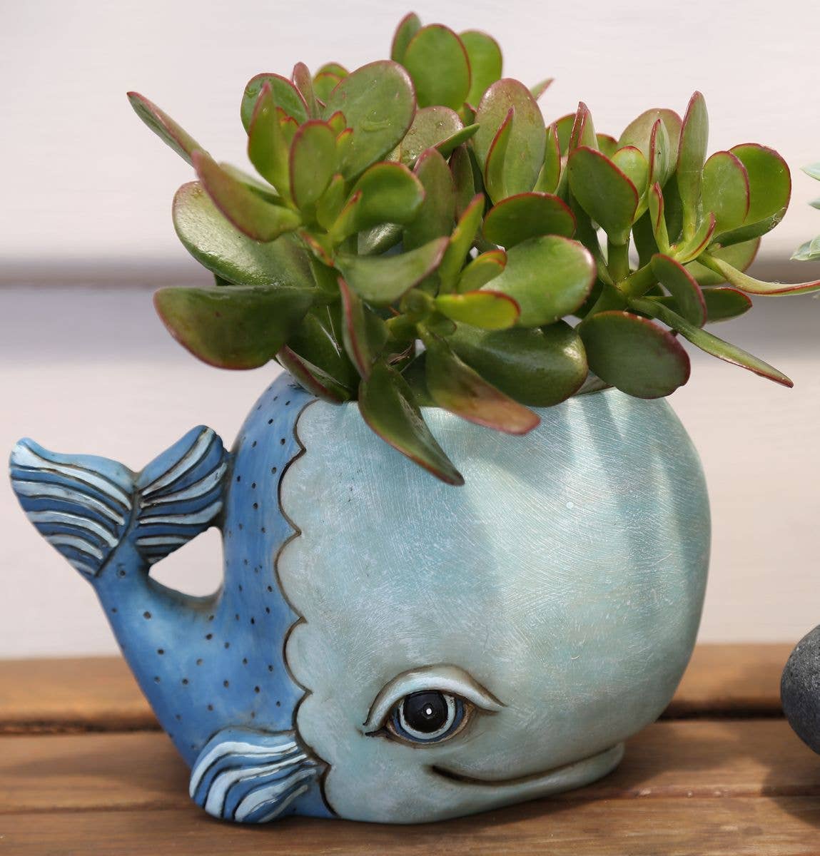 Whale Planter | Hand - Painted Polyresin Ocean - Inspired Planter with Drainage - Oldboy&