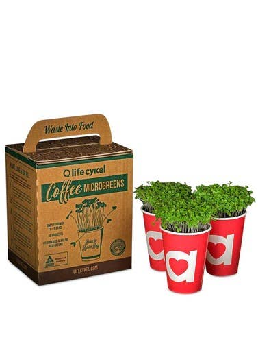 Alkaline Greens Grow Kit - Oldboy&