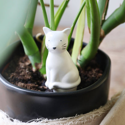 Cat Plant Watering Spike - Oldboy&