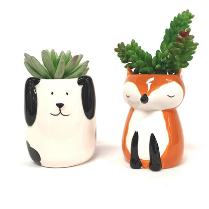 Fox And Dog Pot - Oldboy&