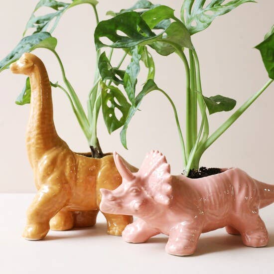 Pink Triceratops Dinosaur Planter - Oldboy&