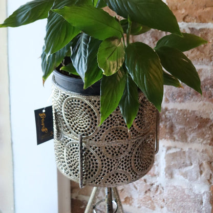 Plant Stand | Metal | Decor - Oldboy&